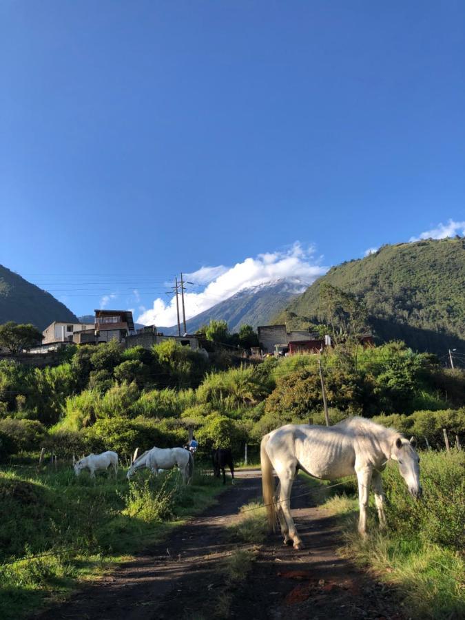 Premium Holiday Cabin - Spectacular Tungurahua Volcano View Baños Eksteriør billede